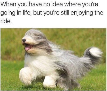 When you have по idea where you're going in life, but you're still enjoying the ride. Win