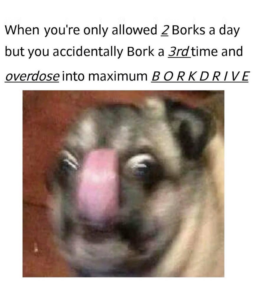When you're only allowed 2 Borks а day but you accidentally Bork a 3rdtime and overdose into maximum