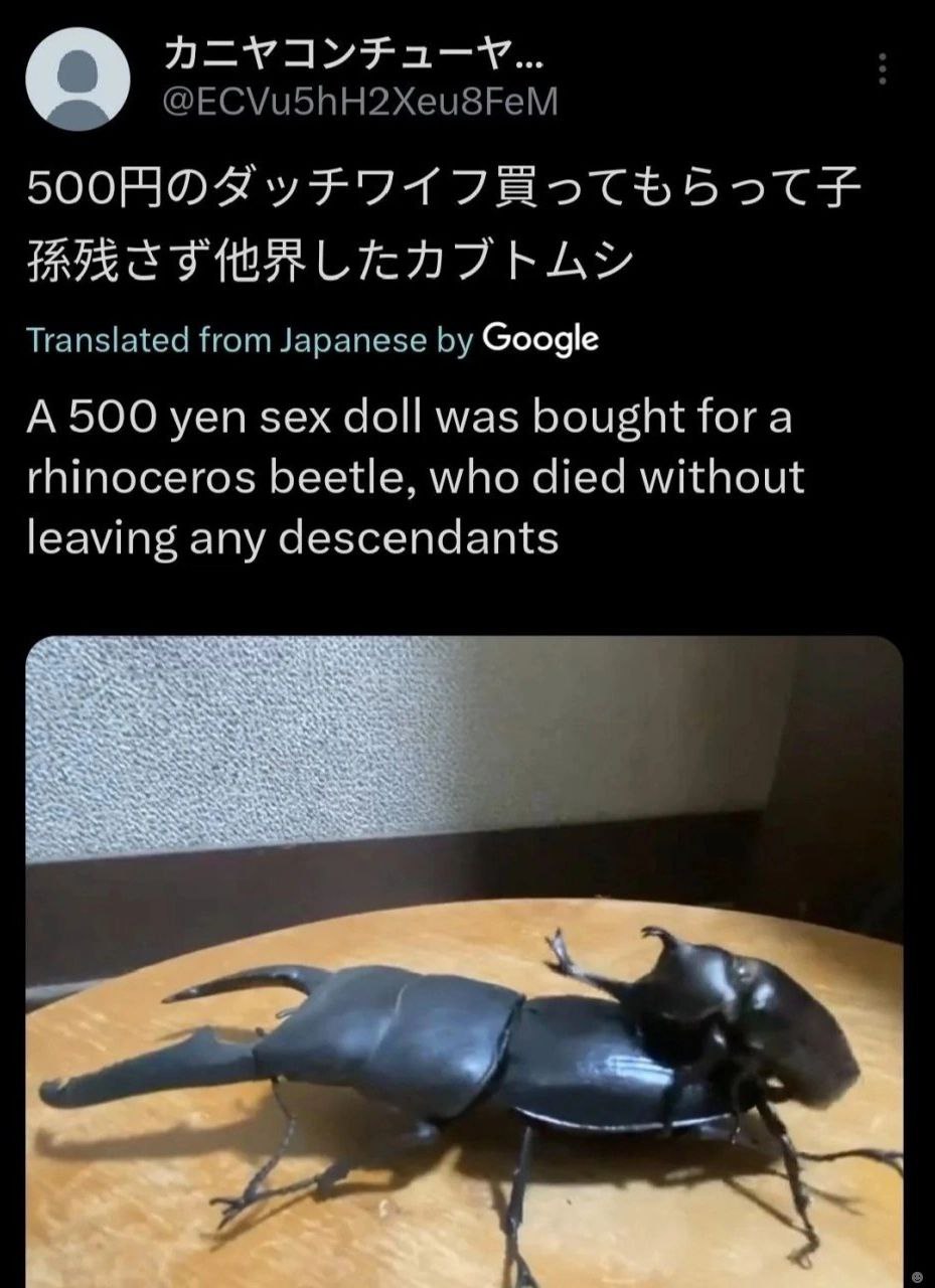 @ECVu5hH2Xeu8FeM Translated from Japanese Google А 500 yen sex doll was bought for a rhinoceros beetle, who died without leaving any descendants