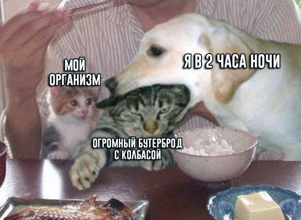 МОЙ ЧАСА НОЧИ ОРГАНИЗМ ОГРОМНЫЙ БУТЕРБРОД