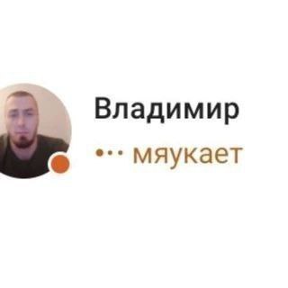 Владимир мяукает