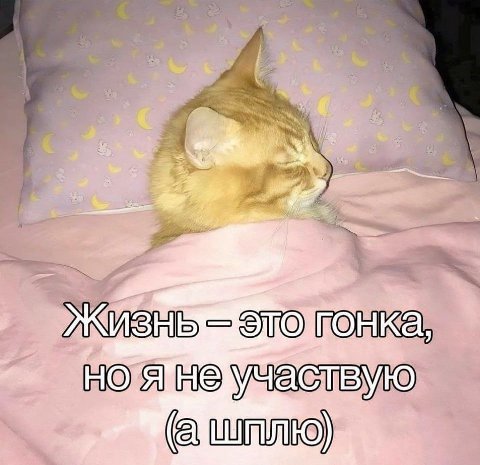 ИНЬ это ноя не участвую (а