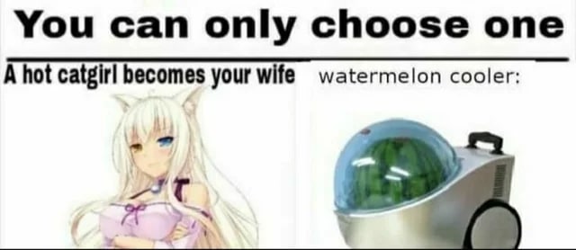 You can only choose one A hot catgirl becomes your watermelon cooler: