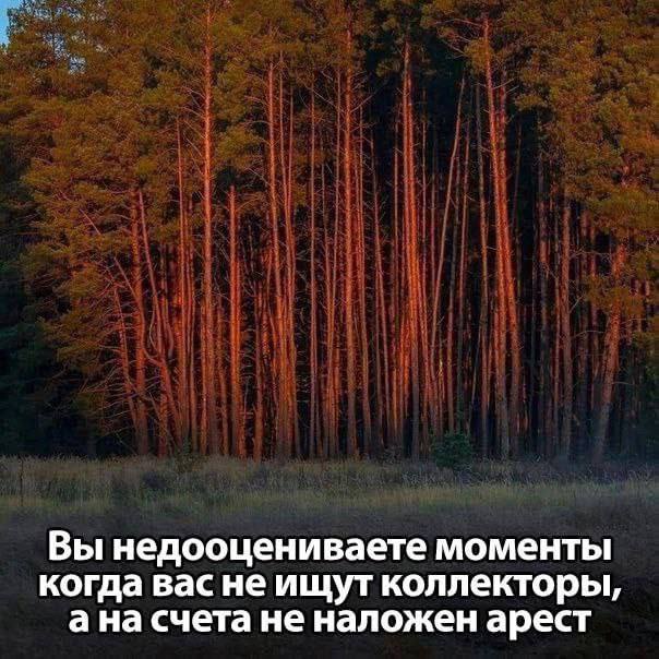 Вы недооцениваете моменты когда вас не ищут коллекторы, ана счета не наложен арест