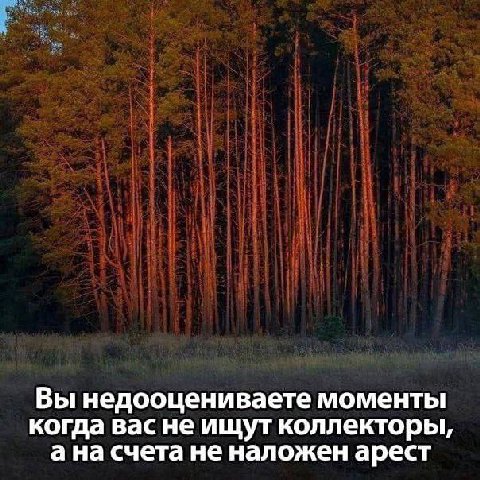Вы недооцениваете моменты когда вас не ищут коллекторы, ана счета не наложен арест