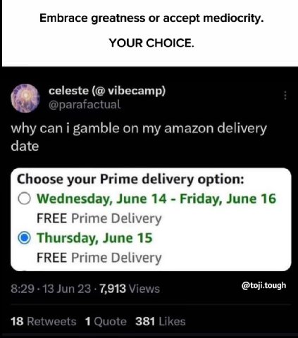 Embrace greatness accept mediocrity. YOUR CHOICE. vibecamp) why gamble my amazon delivery date Choose your Prime delivery option: Wednesday, June 14 Friday, June 16 FREE Prime Delivery Thursday, June 