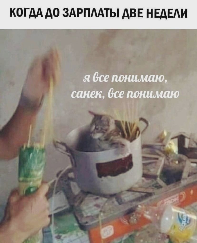 КОГДА ДО ЗАРПЛАТЫ ДВЕ НЕДЕЛИ я bce понимаю, санек, понимаю