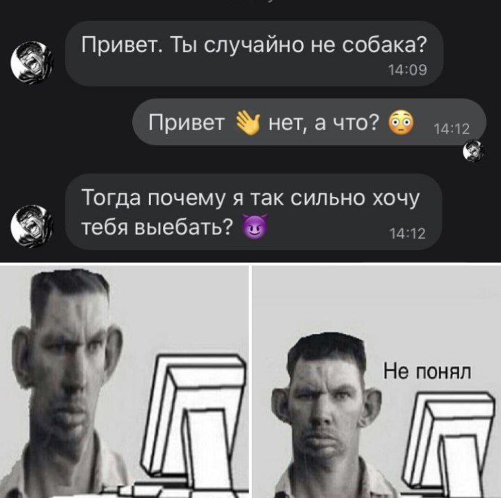 42 Привет. Ты случайно не собака? 14:09 Привет нет, а что? Тогда почему я так сильно хочу тебя выебать? Не понял a 4 a