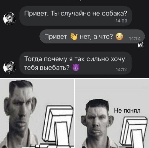 42 Привет. Ты случайно не собака? 14:09 Привет нет, а что? Тогда почему я так сильно хочу тебя выебать? Не понял a 4 a