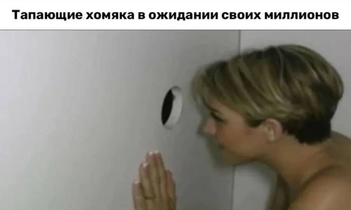 Тапающие хомяка в ожидании своих миллионов