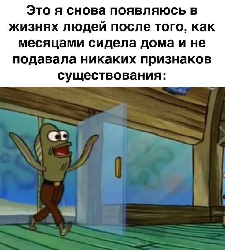 Это я снова появляюсь в жизнях людей после того, как месяцами сидела дома и не подавала никаких признаков существования: