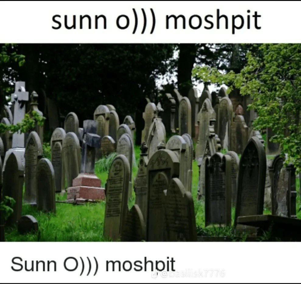sunn moshpit 1 Sunn moshoit