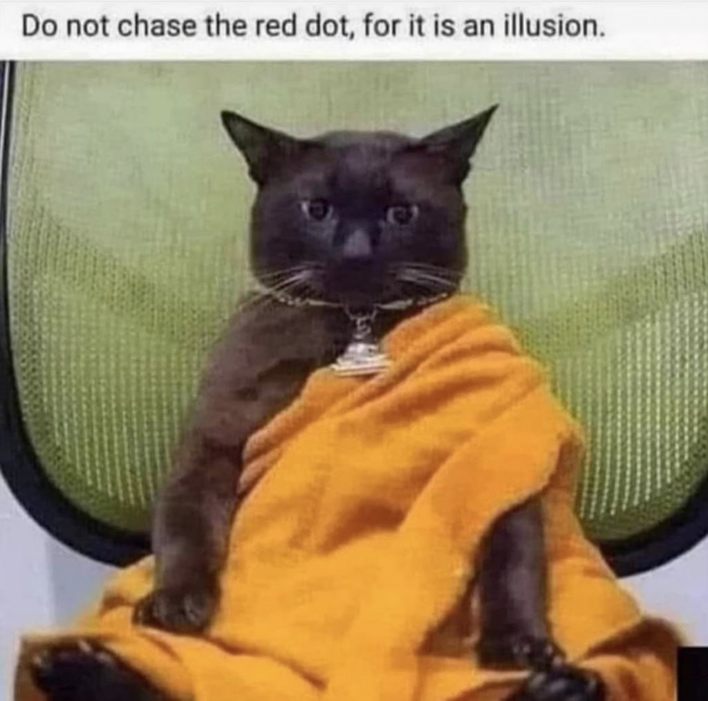 not chase the red dot, for К is an illusion.