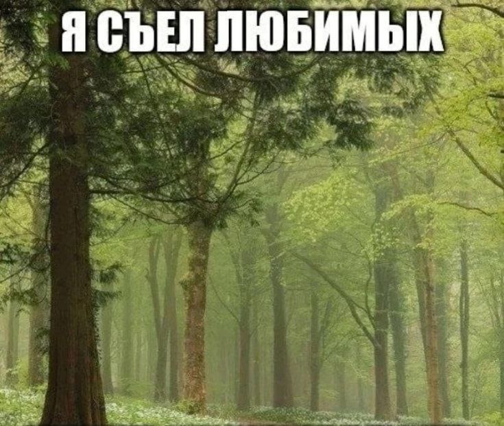 ЛЮБИМЫХ