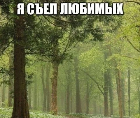ЛЮБИМЫХ