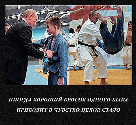 ELIT PAPKE a в ИНОГДА ХОРОШИЙ БРОСОК ОДНОГО БЫКА ПРИВОДИТ В ЧУВСТВО ЦЕЛОЕ СТАДО