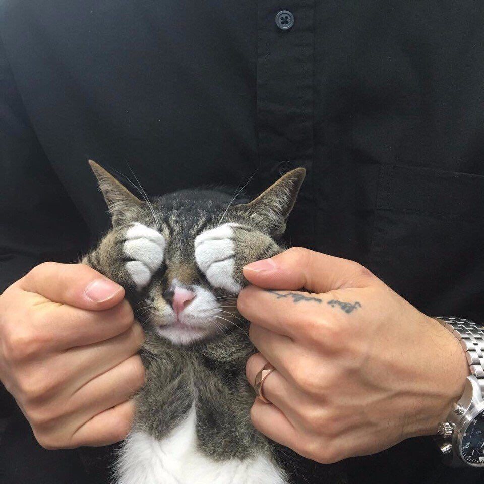 У 3 a A