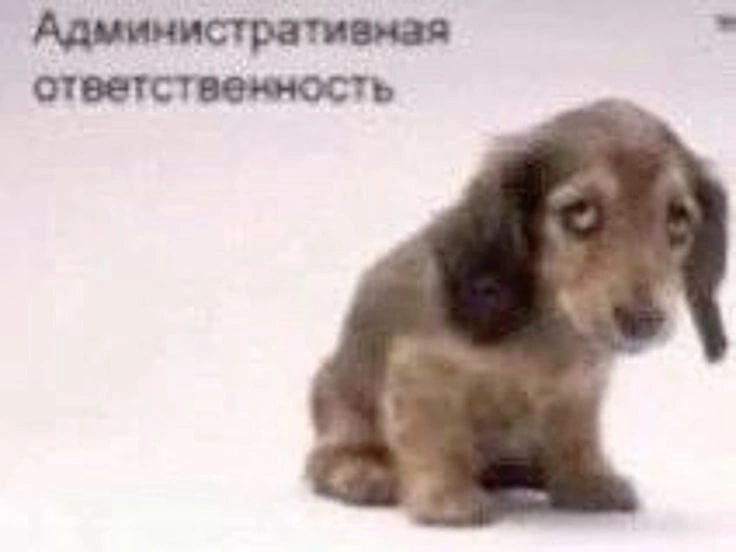 ответственность