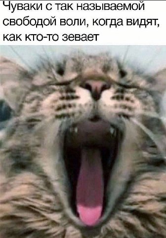 Чуваки с так называемой свободой воли, когда видят, как кто-то зевает 7 4 ABZ