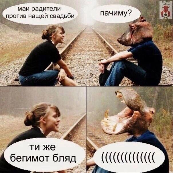 маи радитепи против нащей свадьби, пачиму? rary же бегимот бляд