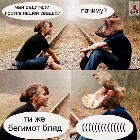 маи радитепи против нащей свадьби, пачиму? rary же бегимот бляд