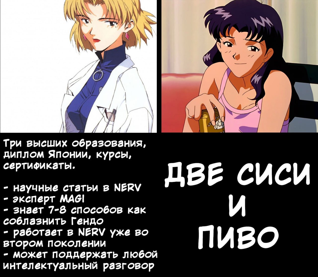 У Три высших образования, диплом Японии, курсы, сертификаты. ДВЕ CUCU научные статьи в NERV эксперт MAGI знает 7-8 способов как соблазнить Гендо работает в МЕКУ уже во втором поколении ПИВО может подд