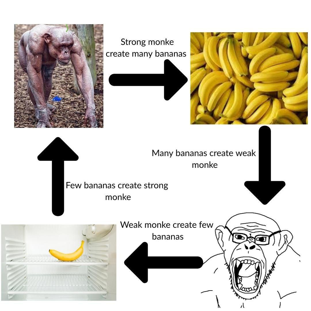 а Strong топке create many bananas (1 Many bananas create weak monke Few bananas create strong monke Weak monke create few Бапапа$ A
