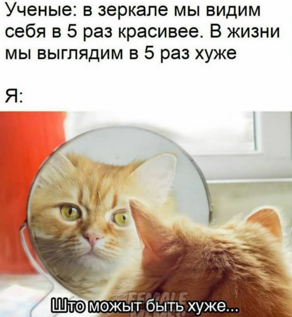 Ученые: в зеркале мы видим себя в 5 раз красивее. В жизни мы выглядим в 5 раз хуже Я: 4 у быть хуже...