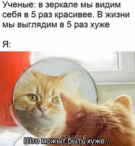 Ученые: в зеркале мы видим себя в 5 раз красивее. В жизни мы выглядим в 5 раз хуже Я: 4 у быть хуже...