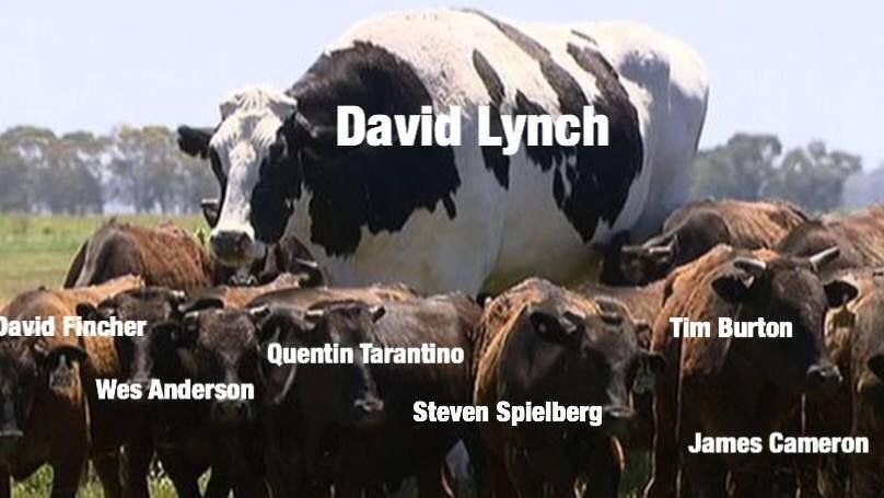David Lynch Tim Burton Quentin Tarantino Wes Anderson Steven Spielberg James Cameron