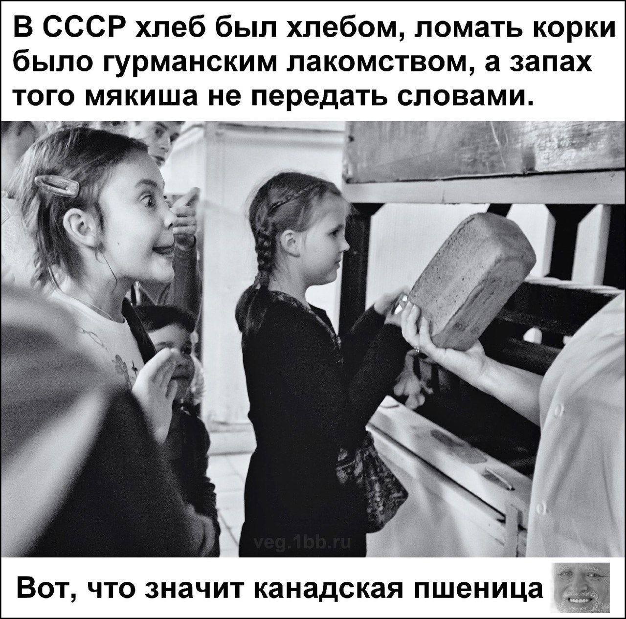 В СССР хлеб был хлебом, ломать корки было гурманским лакомством, а запах того мякиша не передать словами. 4 я i Bor, что значит канадская пшеница