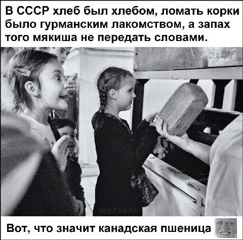 В СССР хлеб был хлебом, ломать корки было гурманским лакомством, а запах того мякиша не передать словами. 4 я i Bor, что значит канадская пшеница