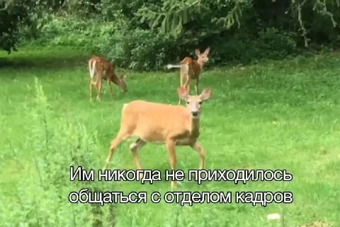 4. не приходилось С отделом кадров