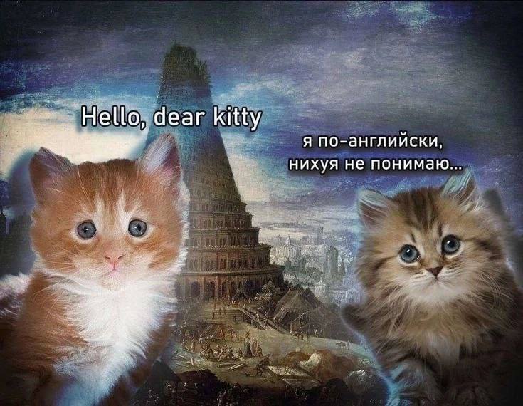 Не dear kitty я по-английски, нихуя не понимаю a