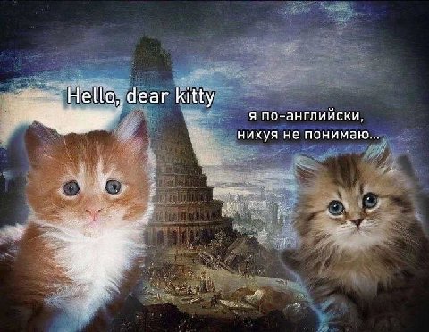 Не dear kitty я по-английски, нихуя не понимаю a
