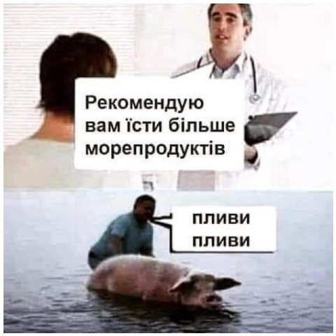 2 Рекомендую Bam ictu Ginbwe морепродуктв пливи пливи