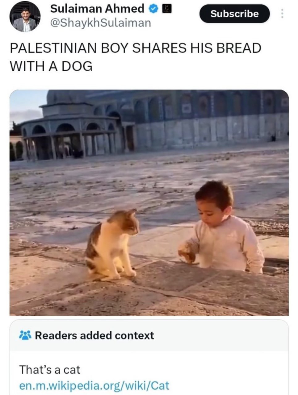 Sulaiman Ahmed @ShaykhSulaiman PALESTINIAN BOY SHARES HIS BREAD WITH A DOG Readers added context That’s a cat en.m.wikipedia.org/wiki/Cat