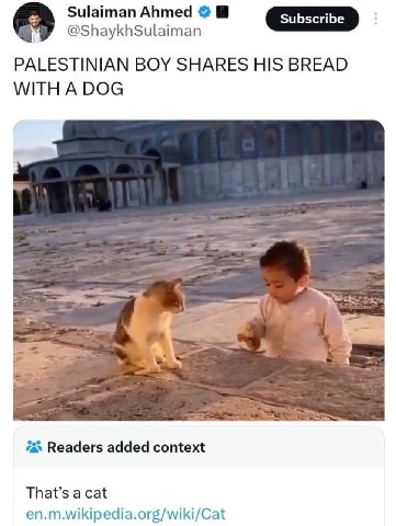 Sulaiman Ahmed @ShaykhSulaiman PALESTINIAN BOY SHARES HIS BREAD WITH A DOG Readers added context That’s a cat en.m.wikipedia.org/wiki/Cat