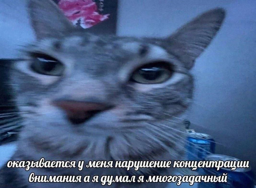 оказывается у меня нарушение концентрации бнимания а я думал я многозадачный