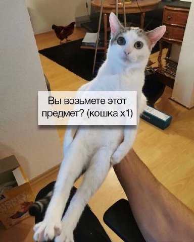 A Вы возьмете этот предмет? (кошка