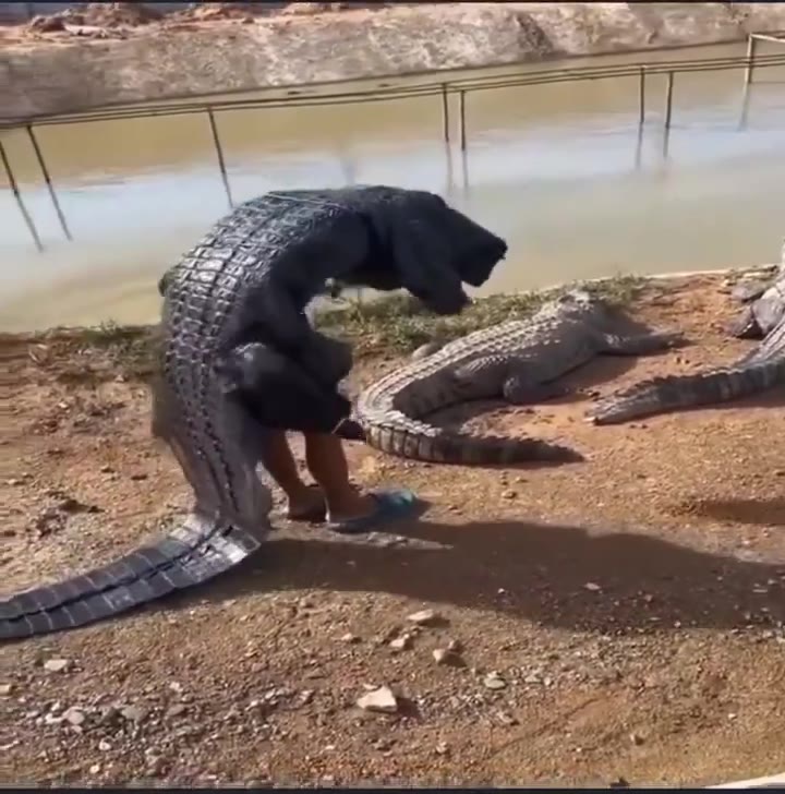 why women live longer