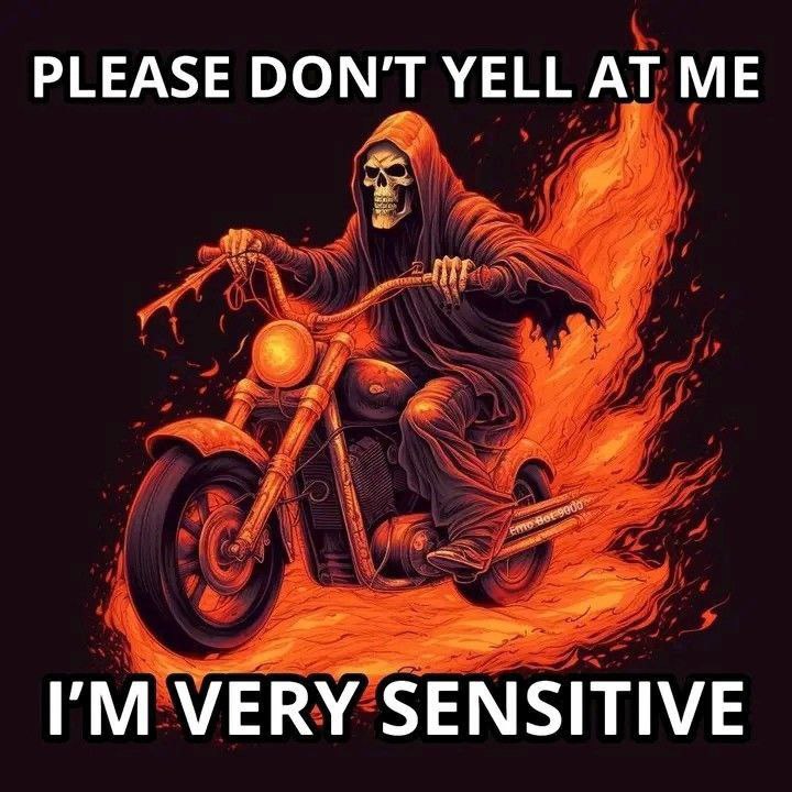 PLEASE DON'T YELL AT VERY SENSITIVE