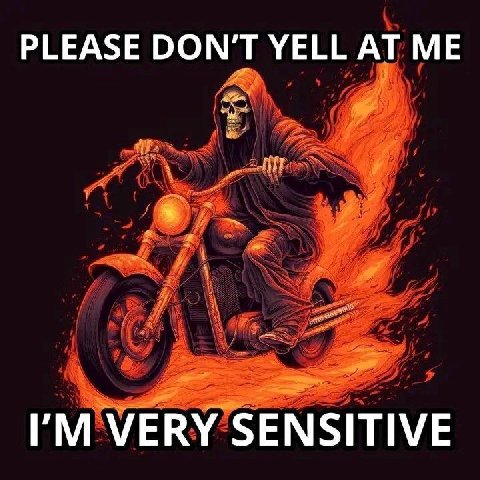 PLEASE DON'T YELL AT VERY SENSITIVE