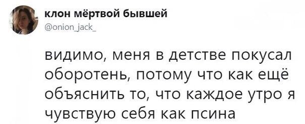 клон мёртвой бывшей @onion_jack_ видимо, меня в детстве покусал оборотень, потому что как ещё объяснить то, что каждое утро я чувствую себя как псина