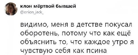 клон мёртвой бывшей @onion_jack_ видимо, меня в детстве покусал оборотень, потому что как ещё объяснить то, что каждое утро я чувствую себя как псина