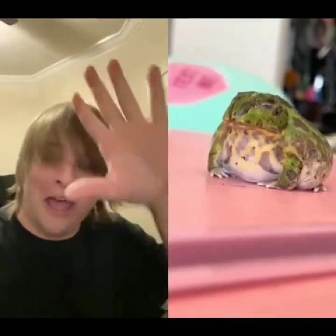 мем