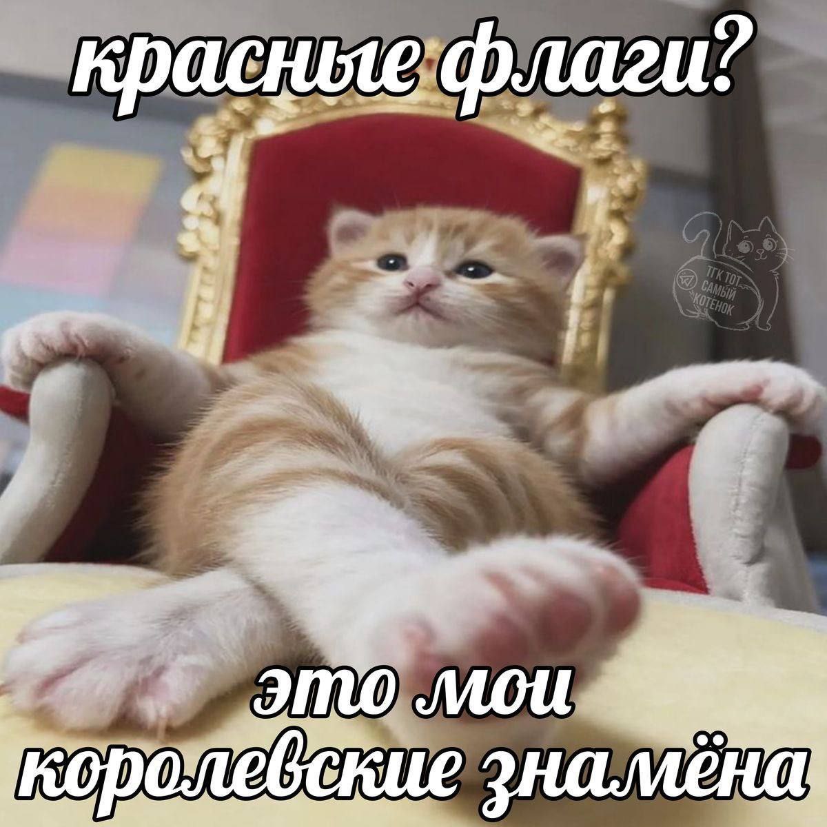 красные асные флаги? A Mou