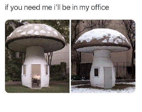 if you need me i'll be in my office