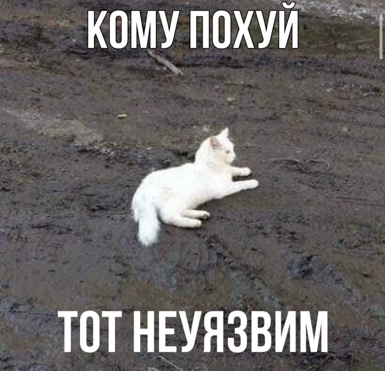 КОМУ ПОХУЙ ТОТНЕУЯЗВИМ