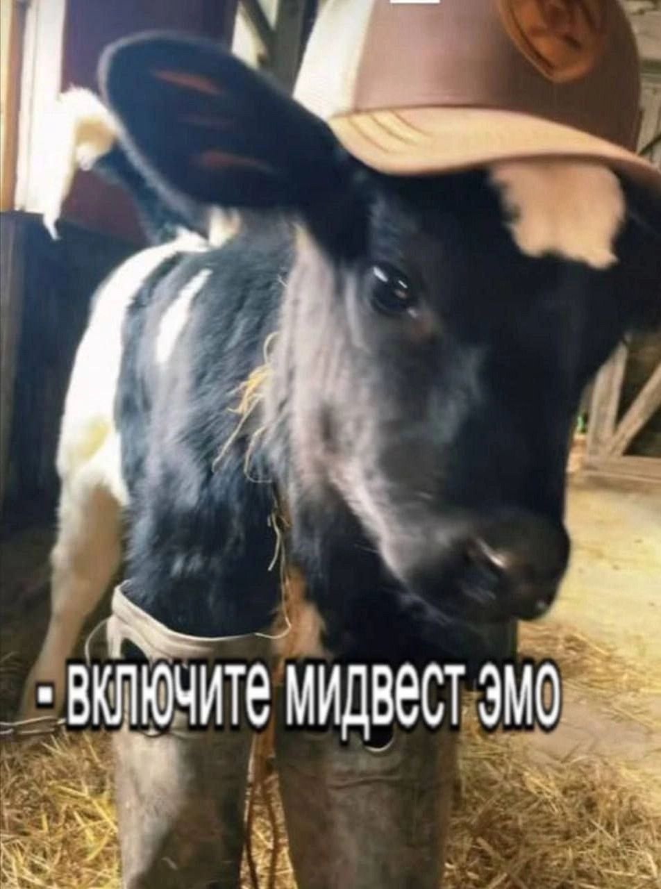 A ВКЛЮЧИТЕ МИДВЕСТ